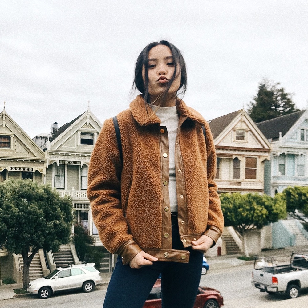 Teddy Coat Faux Shearling Jacket